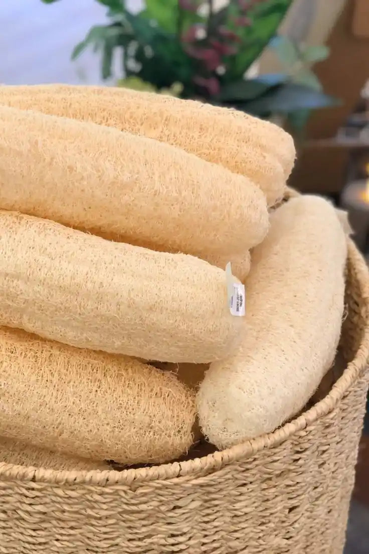 100% Organic Loofah Sponge Pack of 6 – Size 12 Inches (1 Feet)